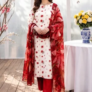Premium Winter 3-Piece Printed Suit AH112