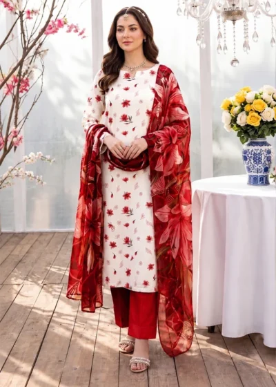 Premium Winter 3-Piece Printed Suit AH112